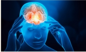 A fost descoperit locul din creier unde se face apelul la memorie. Cum funcționează și ce boli neurologice ar putea să fie vindecate acum