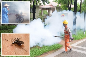Alertă epidemică globală. Virusul chikungunya se răspândește rapid din China în alte țări