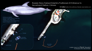 Alertă maximă in Marea neagră: Delfinii militari ai Rusiei au evadat