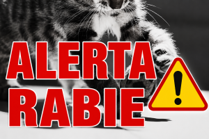 ALERTĂ ÎN ZOOTEHNIE! Rabia revine în ferme - Două focare confirmate la bovine. Autoritățile avertizează asupra riscului și impun măsuri stricte
