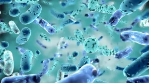 Alertă pentru cei care merg la plajă: o bacterie periculoasă se extinde în Europa
