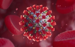 Asta mai lipsea! Cercetătorii chinezi anunță că au descoperit 24 de noi coronavirusuri la lilieci care pot sa treaca la om