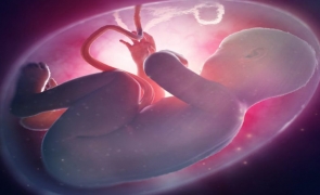 Au fost găsite microparticule de plastic în placenta copiilor nenăscuţi: