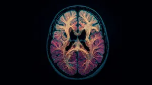 Ayahuasca și DMT amplifică undele din retelele neuronale, se arata într-un studiu amplu publicat de Nature Medicine