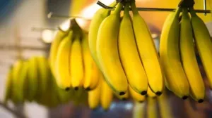 Beneficiile bananelor pentru inimă, energie şi digestie: o alegere excelentă pentru un stil de viaţă sănătos
