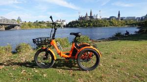 Beneficiile utilizării unui triciclu electric pentru seniori

