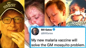 Bill Gates recunoaște indirect că țânțarii săi modificați genetic provoacă epidemia mortală de malarie din SUA!
