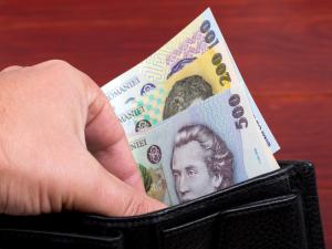 BNR vrea să afle cât de bogați sunt românii și ce consumă. Studiul pentru care plătește peste 4,4 milioane de lei
