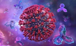 Boala X - Un nou virus ciudat se răspândește cu viteza luminii: va provoca următoarea pandemie la nivel global