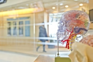 Bolile grave ale creierului după Covid. Legatura cu Alzheimer si alte complicatii neurologice