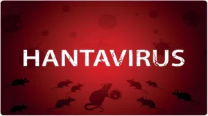 Cât de îngrijoraţi ar trebui să fim în privinţa hantavirusului - OMS: 