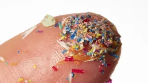 Ce am învățat despre microplastice în 2025: Cât de periculoase sunt, unde se găsesc și cum le poți evita