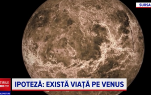 Ce forme de viaţă ar putea exista pe Venus.