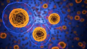 Cercetătorii au reușit să modifice o bacterie obișnuită din corpul uman ca să găsească tumorile și să elibereze medicamentul anticancer direct în ele
