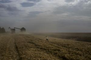 Companie europeană, complice la jaful rusesc: Grâne ucrainene din teritoriile ocupate, furate de ruși și împinsă pe piețele mondiale. Ce relevanta are pentru România