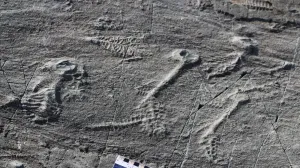 Creaturile bizare care au sfidat evoluția: nu erau nici plante, nici animale, ci doar un eșec al naturii
