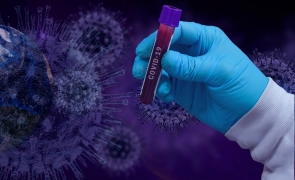 Cum ar fi ajuns noul coronavirus la om și care sunt concluziile echipei de ancheta a OMS