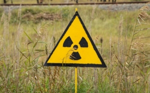 Cum o fi in România daca in Germania dupa 30 de ani de la accidentul nuclear de la Cernobîl ciupercile încă sunt contaminate radioactiv