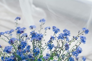 Cum să păstrezi prospețimea rufelor mai mult timp: sfaturi și trucuri eficiente
