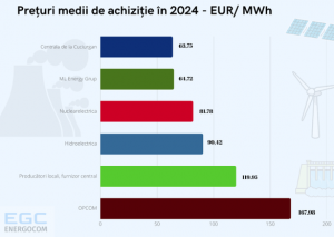 D-ale lu' Burduja: Hidroelectrica și Nuclearelectrica au vândut în 2024 energie Chișinăului la un preț de 2 ori mai redus decât cel plătit pe OPCOM