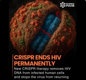 Descoperire epocală: Terapia CRISPR a izbutit sa elimine virusul HIV din celulele umane și impiedica revenirea bolii