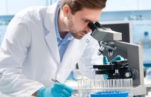 Descoperire importantă pentru lumea medicală: cercetătorii au dezvoltat hidrogeluri bioactive din iaurt pentru regenerarea țesuturilor