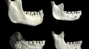 Descoperirea care rescrie istoria omenirii: originea omului, mai veche decât se credea
