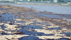 Dezastrul de pe litoralul din Bulgaria s-ar putea extinde și spre România: Tone de păcură au ajuns pe plaje și Marea Neagră este plină de reziduri petroliere
