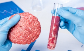 După ce a interzis făina de greieri în pizza și paste, Italia va interzice și carnea produsă în laborator