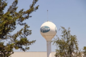 Exista angajați la Pfizer care nu cred in vaccinul companiei. Ei vor fi concediati de gigantul pharma