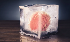 Experiment criogenic reuțit: S-a găsit o modalitate de a dezgheța țesutul cerebral uman congelat și reînvierea neuronilor