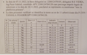 Garda Forestieră Vrancea și Parchetele Focșani și Panciu anchetează un furt de masă lemnoasă de peste 500 de mii euro. Autorul e un cunoscut toporator: 