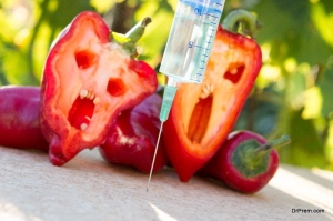 Gates și Rockefeller finanțează un program de preluare totală a sistemului alimentar global