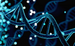 Influența genetică asupra alegerilor noastre de viață: cât de mult este predeterminat comportamentul nostru de biologie