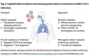 Informație revoluționara: Asimptomaticii ar fi imuni genetic la Covid-19!
