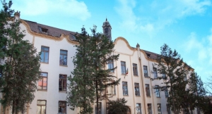 Justiția a anulat vânzarea Castelului Wesselényi care ajunsese la o Fundație din Budapesta