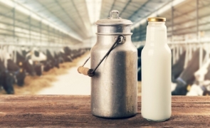 Laptele sintetic care nu necesită vaci sau alte animale ar putea zgudui industria lactatelor