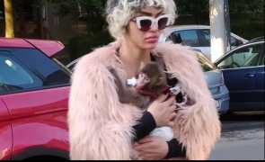 Margherita, fiica lăutarilor din Clejani, a fost înțepată de atacatorul cu trotinetă