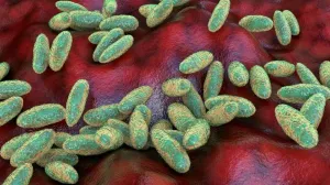 Moartea unei angajate a unui laborator din Siberia a readus în atenția presei programul de arme biologice al Rusiei

