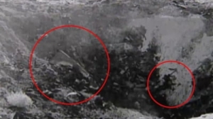 Noi dovezi despre OZN-ul de la Roswell: Documente declasificate despre nava extraterestră prăbușită în 1947