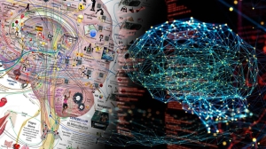 O hartă revoluționară a creierului uman: intersecția dintre neuroștiință și inginerie
