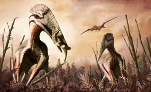 O nouă specie de dinozaur a fost descoperită în Marea Britanie