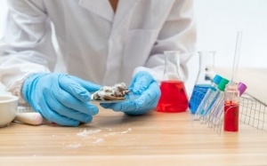 O noua amenintare: Indienii se infectează cu