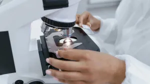 Oamenii de știință au descoperit o forță secretă care ne construiește creierul: ce este proteina Piezo1
