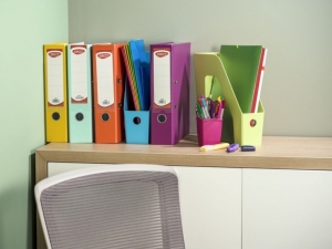Organizarea vizuala a biroului incepe cu un biblioraft de plastic
