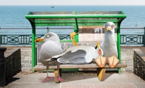 Pescărușii dependenți de droguri din Marea Britanie atacă: