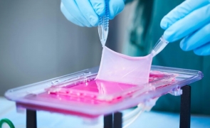 Pielea artificială revoluţionară, soluţia care le oferă simţul tactil persoanelor cu membre amputate