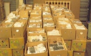 Poliția Română dă detalii șocante: Un comando l-a ucis pe un bărbat care a refuzat să investească un milion de euro în afaceri cu cocaina