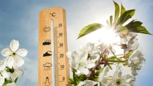 Prognoza meteo pentru patru săptămâni: Când vine primăvara
