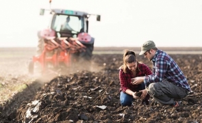 Revolta fermierilor: Cerealele românești sunt detronate de cerealele ucrainene mai ieftine